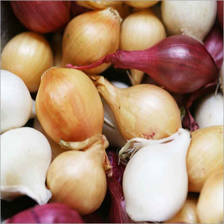Pearl Onions