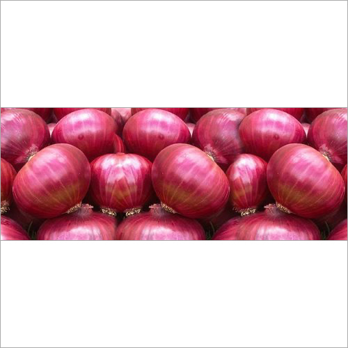 Fresh Red Onion