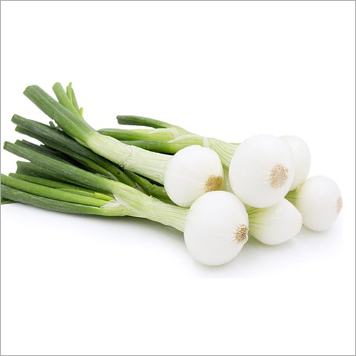 Spring Onion