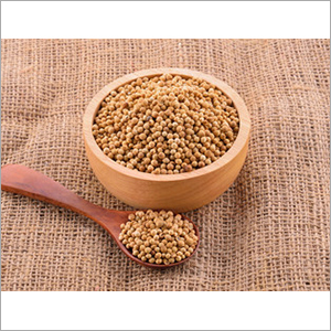 Coriander Seed