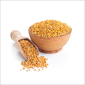 Mustard Seed