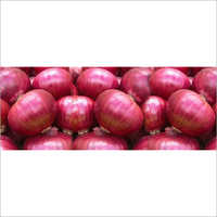 Red Onion