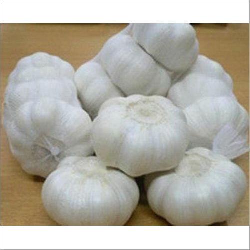 Fresh White Garlic