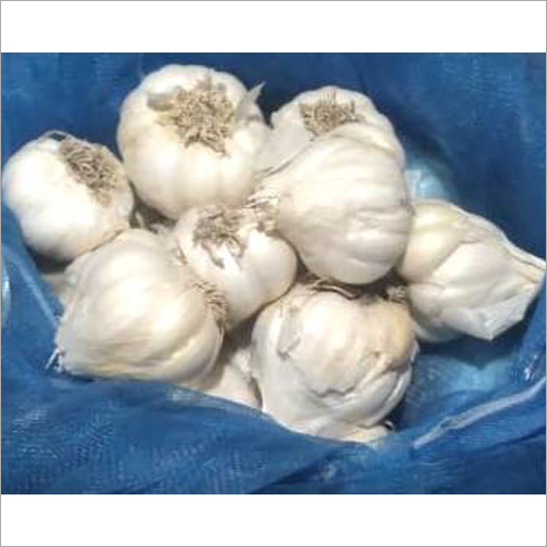 Natural White Garlic