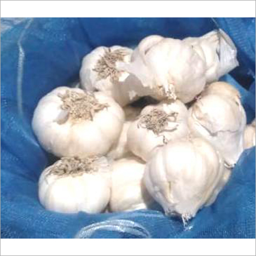 Natural White Raw Garlic
