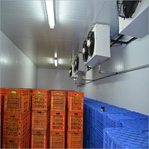 Fruits Ripening Chamber