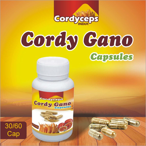 Cordy Gano Capsules