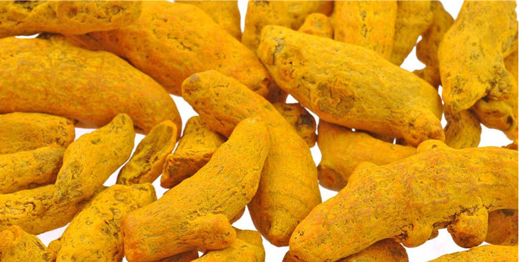 Double Polished Nizamabad Turmeric Finger