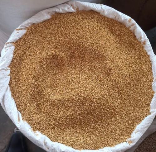 Yellow Mustard Seeds
