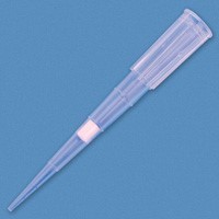 20Aul Filter Tip