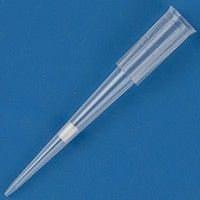 Beveled 20l Filter Tip