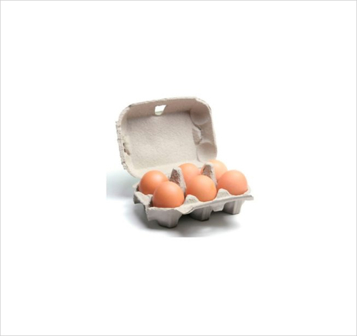 6 Pcs Pulp Egg Tray By NEEYOG PACKAGING