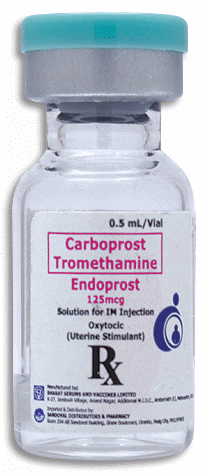 Endoprost 125Mcg Carboprost Injection Ingredients: Bupivacaine
