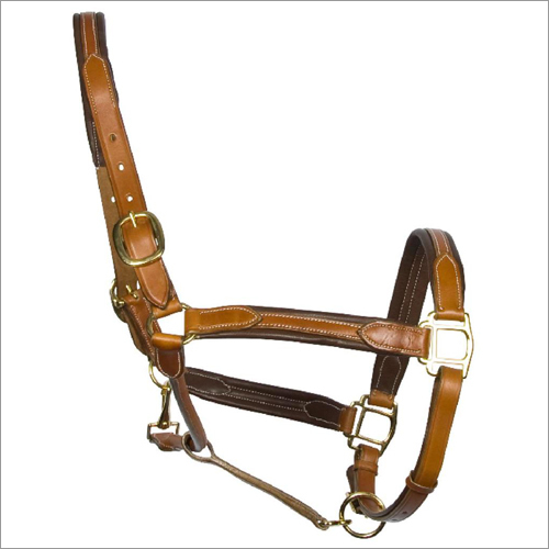 All Color Available Leather Halter
