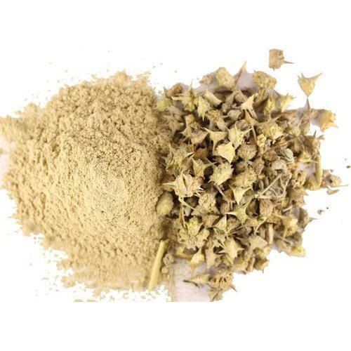 Gokhru Extract Grade: Food Grade