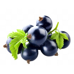 Black Currant Color