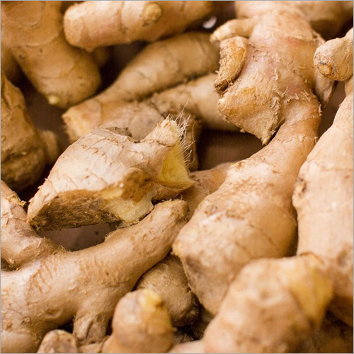Fresh Ginger