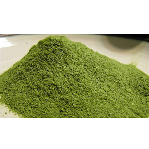 Moringa Powder