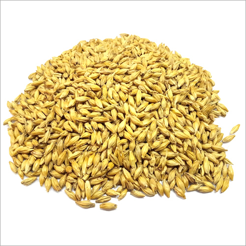 barley-malt-malting-barley-malting-barley-product-exporter-supplier