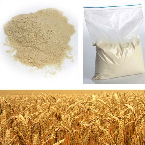 Dry Malt Extract