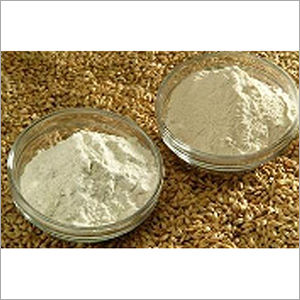 Barley Flour