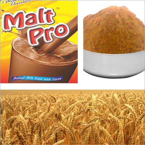 Malt Pro - Age Group: Children