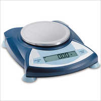 Gray Electronic Weighing System