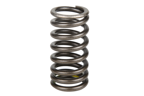 Engine Valve Spring