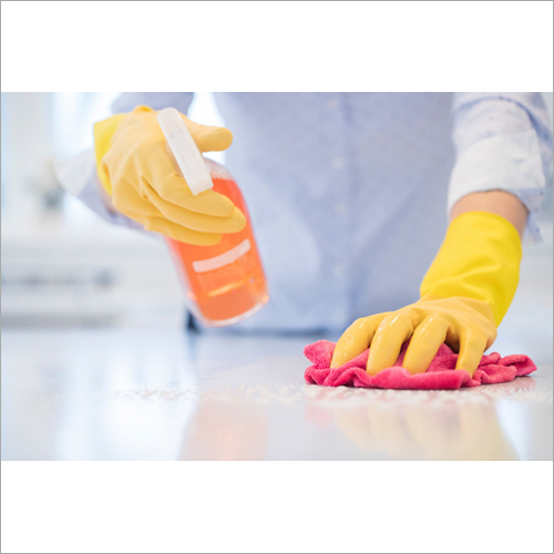 Home Cleaning Human Sanitizer Sprayer Services