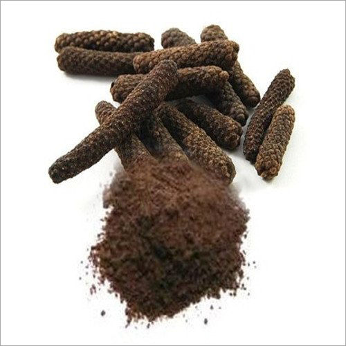 Pippali Extract Powder Dry Place