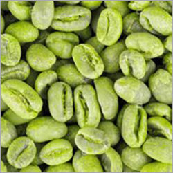 Organic Green Coffee Bean Extract