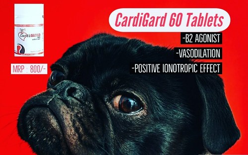 Cardi Gard 60 Tablets Herbal Veterinary Drug