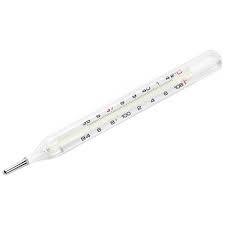 Patient Examine Products Mercury Thermometer