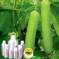 लौकी (लौकी) का तेल