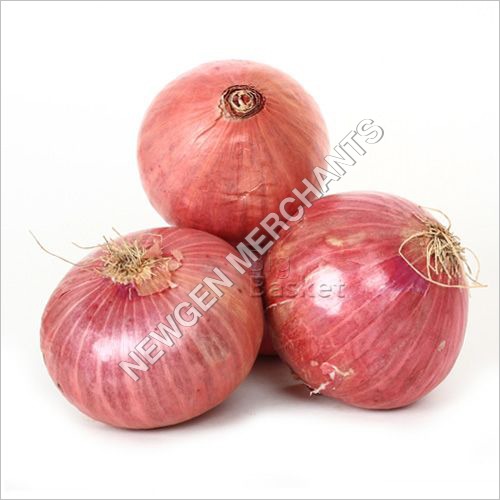 Pink Onion Moisture (%): 98-100%