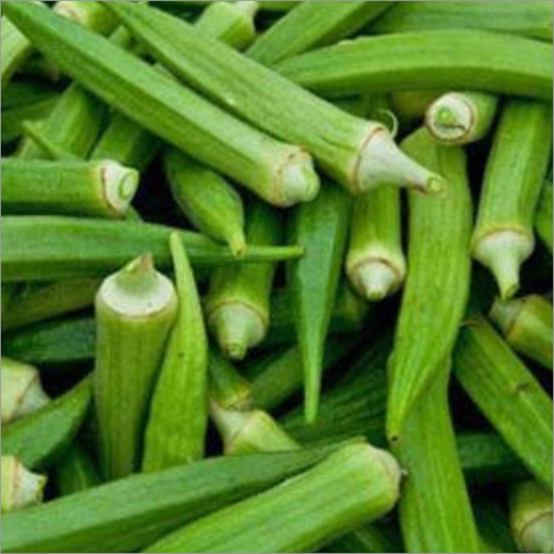 Lady Finger