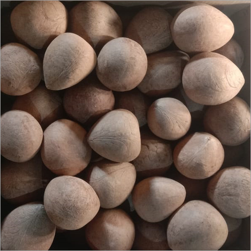 Organic Indian Dry Coconut