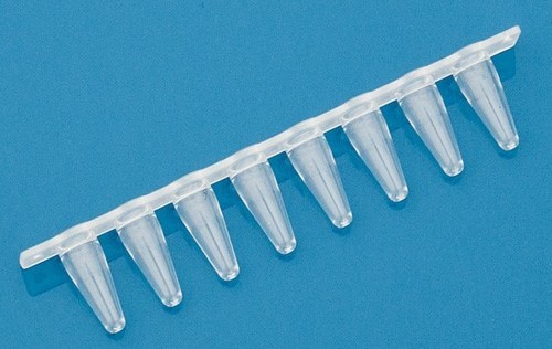 High-Quality Nature 0.1ml (Low Profile) PCR 8 Tube Strips