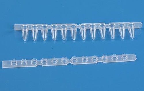 Pre-Sterilized Nature 0.1ml (Low Profile) PCR 12 Tube Strip