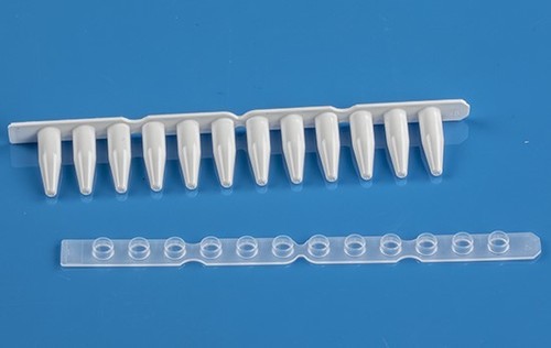 DNase and RNase-Free White 0.2ml (Regular Profile) PCR 12 Tube Strip