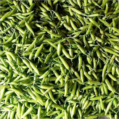 Fresh Green Chilli