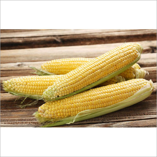 Yellow Corn