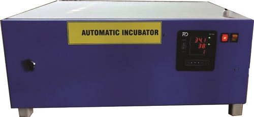 100 Egg Phylum Sheet Body Automatic Incubator