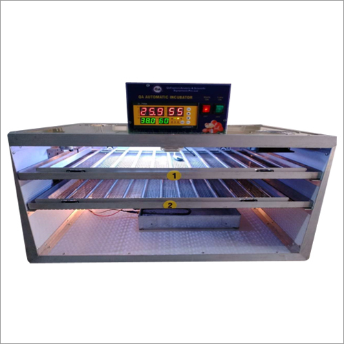 200 Egg Phylum Body Automatic Incubator