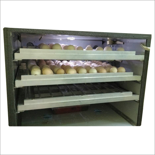 300 Egg Phylum Body Automatic Incubator