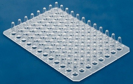 Non Skirt 0.2ml (Regular Profile) 96 Well PCR Plates in Natural Color