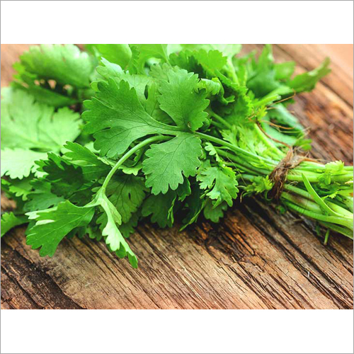Coriander Leaves