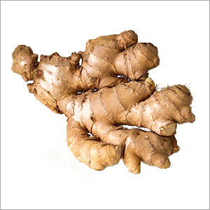 Fresh Ginger