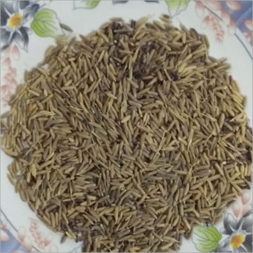 Common Organic Rice Seed