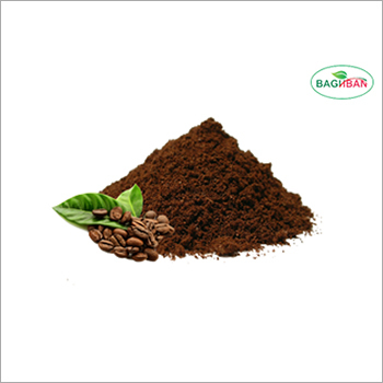 Chicory Powder By BAGHBAN FOODS